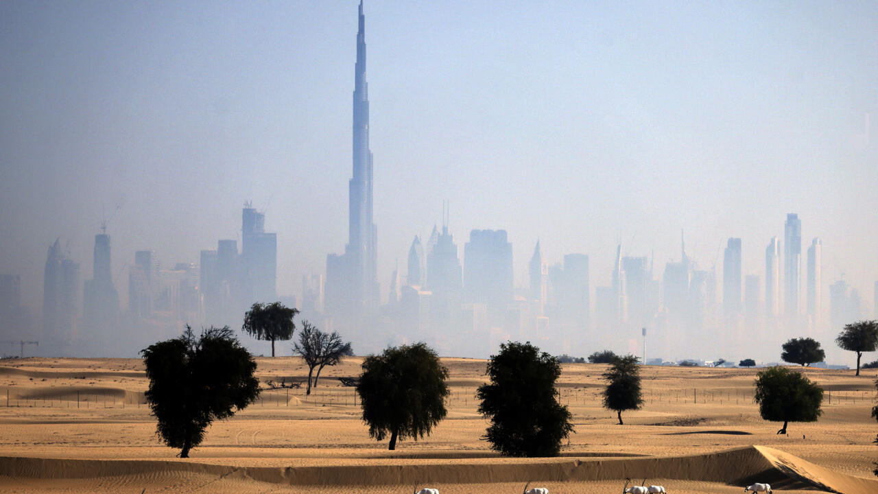 Stuck in eternal drought, UAE turns to AI to make it rain